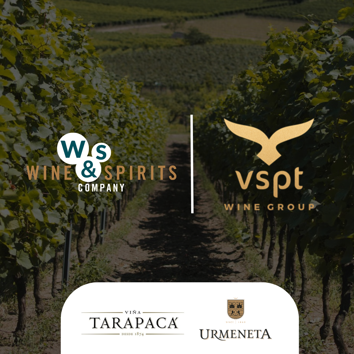 Nieuwe samenwerking!